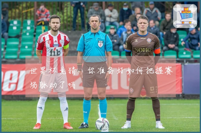 世界杯竞猜，你准备好如何把握赛场脉动了吗
