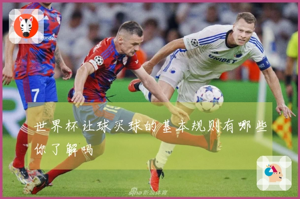 世界杯让球买球的基本规则有哪些你了解吗
