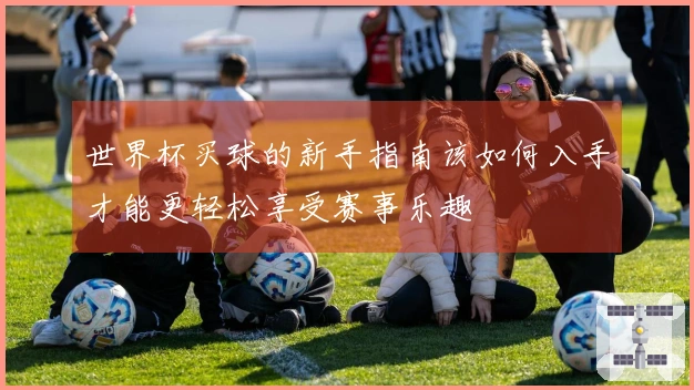 世界杯买球的新手指南该如何入手才能更轻松享受赛事乐趣