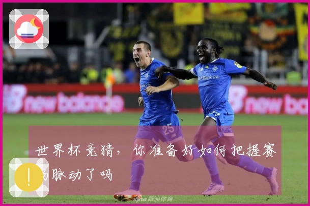 世界杯竞猜，你准备好如何把握赛场脉动了吗