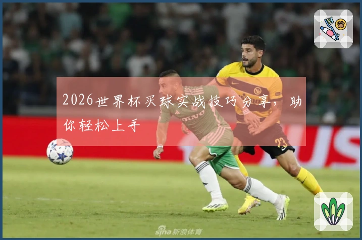 2026世界杯买球实战技巧分享，助你轻松上手