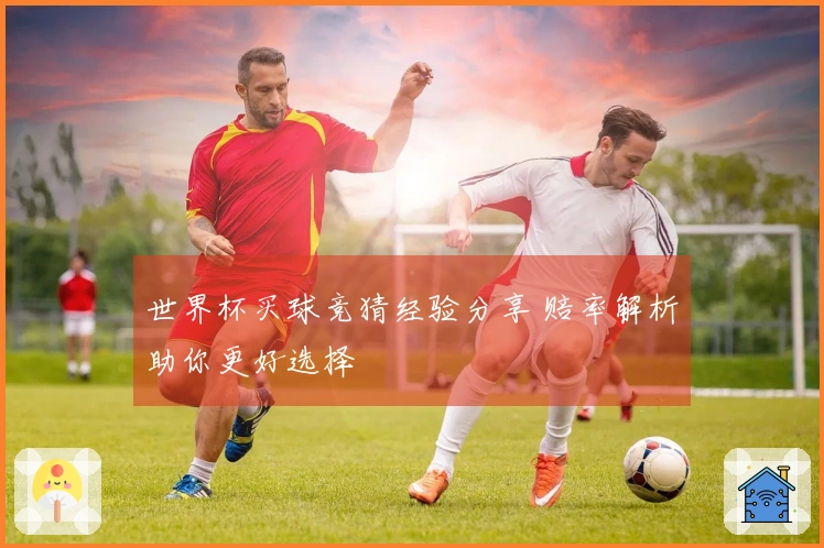 世界杯买球竞猜经验分享 赔率解析助你更好选择