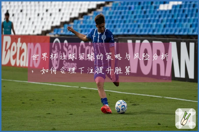 世界杯让球买球的策略与风险分析，如何合理下注提升胜算