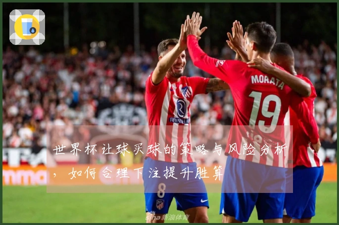 世界杯让球买球的策略与风险分析，如何合理下注提升胜算