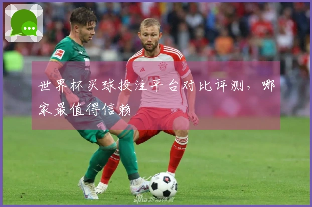 世界杯买球投注平台对比评测，哪家最值得信赖