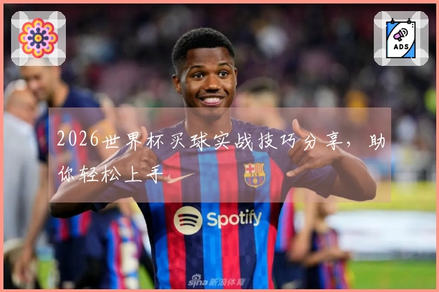 2026世界杯买球实战技巧分享，助你轻松上手