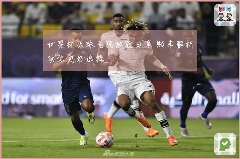 世界杯买球竞猜经验分享 赔率解析助你更好选择