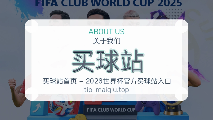 <strong>买球站</strong>服务细节介绍